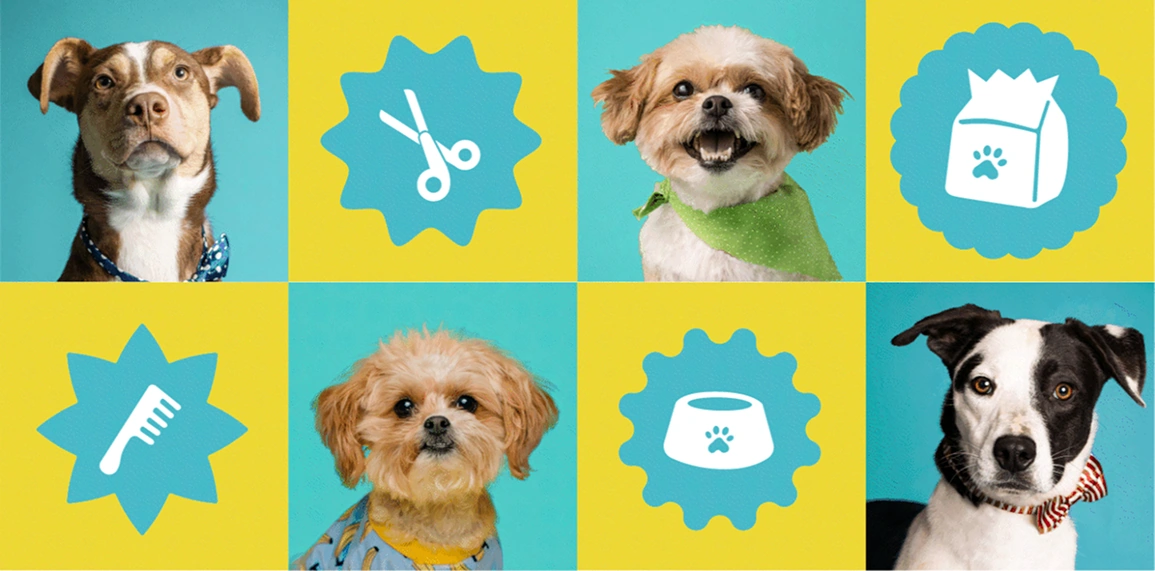 Identidad visual de Animal Home en una composición con perros e íconos sobre fondos cyan y amarillos.